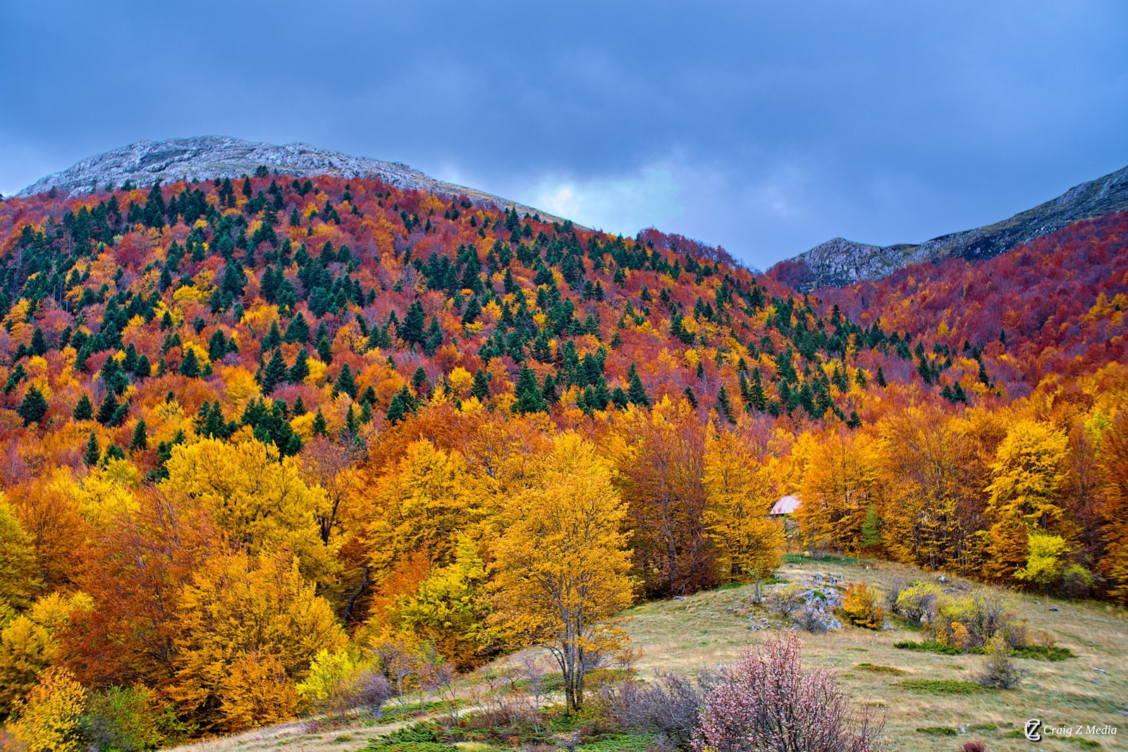 Autumn colours on Mali i Thatë as the leaves turn gold — September and October offer arguably the finest hiking conditions of the year